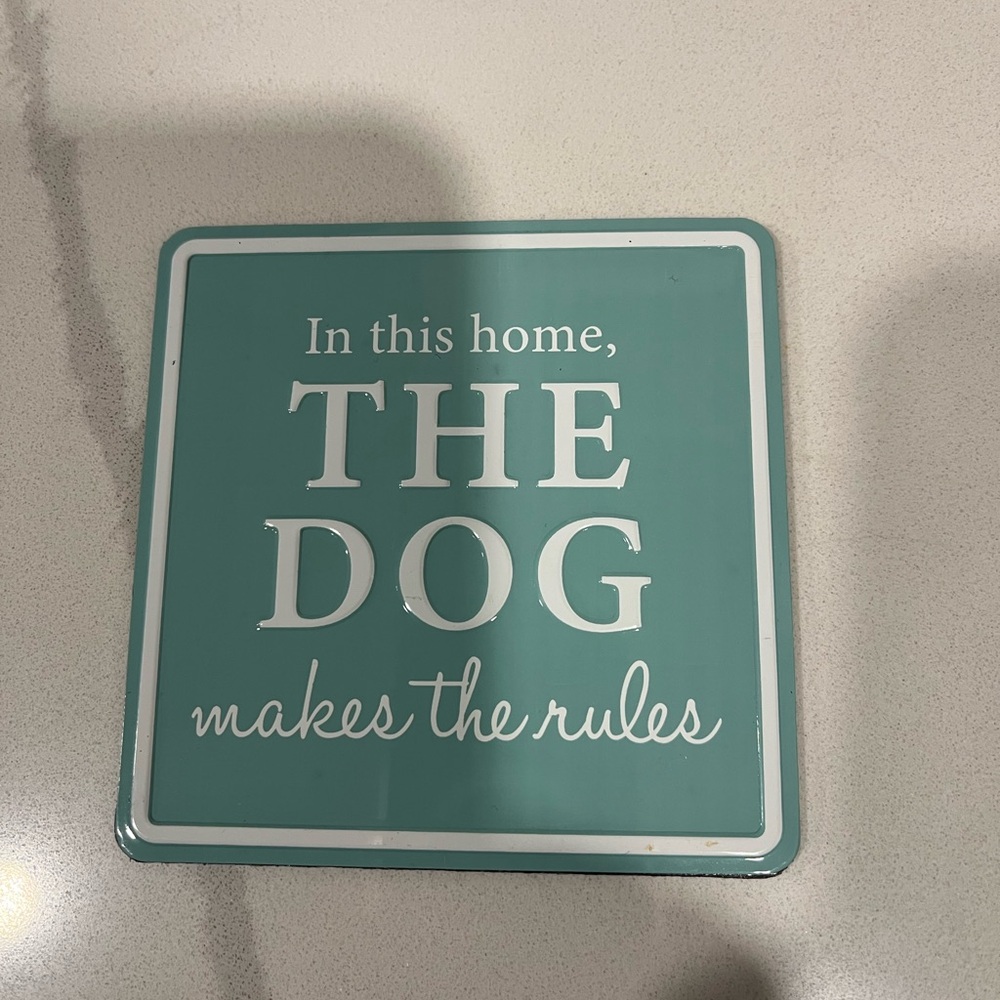 Teal Dog Rules Home Accent Magnet